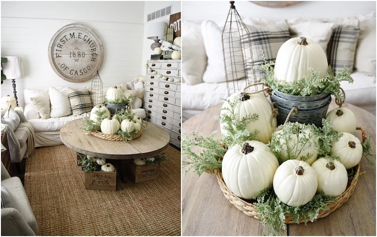 coffee table white pumpkin decoration ideas