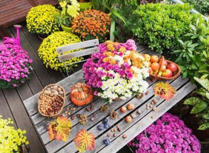 fall-flowers-for-balcony-in-different-colors