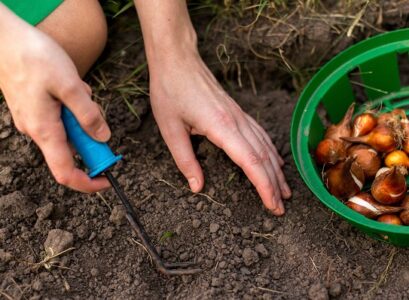 gardening-in-fall-it-is-time-for-fall-planting