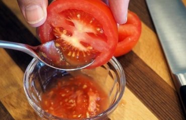 how-to-collect-tomato-seeds-for-sowing