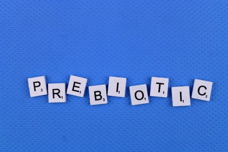 probiotics and prebiotics to boost your immune system
