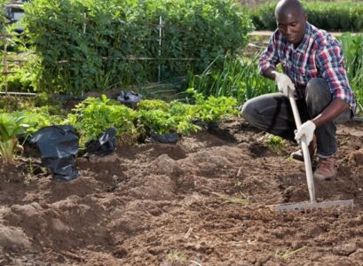 what-to-plant-in-october-enrich-the-soil-with-compost