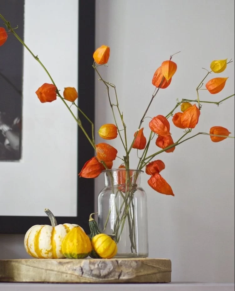 Autumn decoration with physalis and pumpkins ideas for 2022