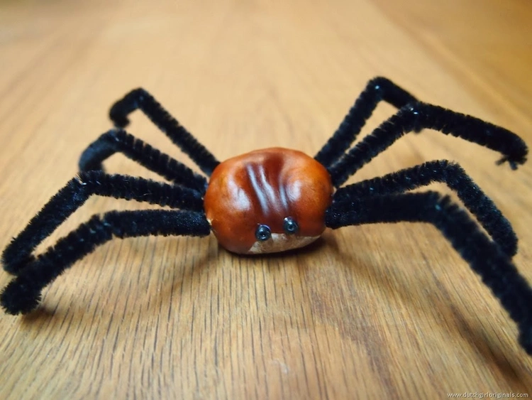 Chestnut craft ideas for kids how to make a spider