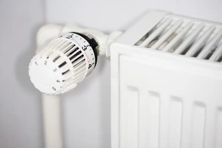 Clean the thermostat knob home remedies