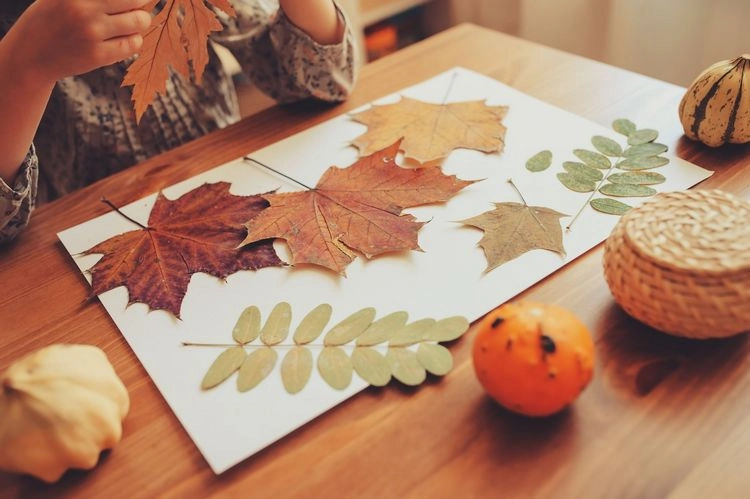 DIY fall decoration for your home