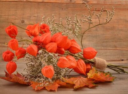 Fall-decoration-2022-with-physalis-simple-DIY-ideas