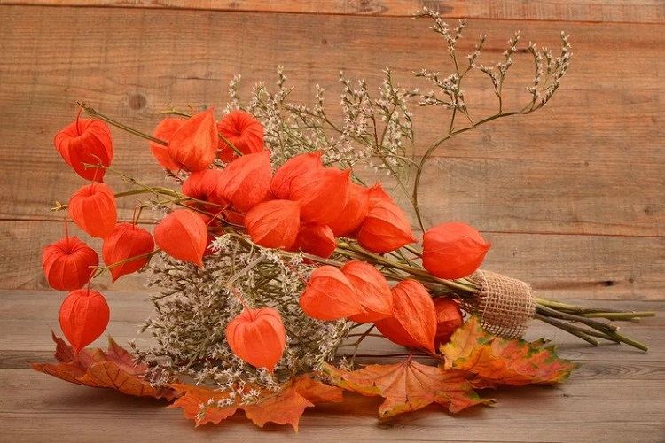 Fall-decoration-2022-with-physalis-simple-DIY-ideas