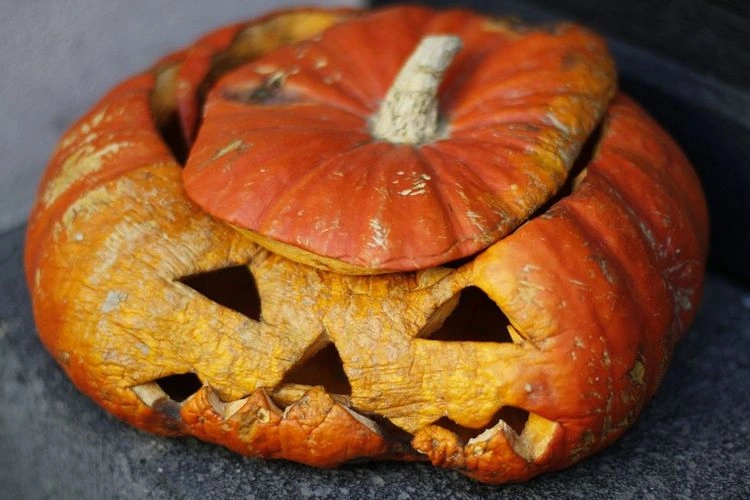  prevent the carved pumpkin from molding