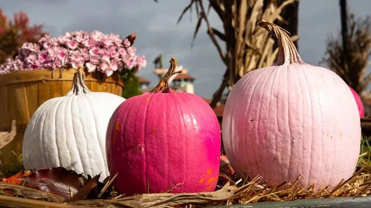 Pink pumpkins halloween decoration 2022 trends