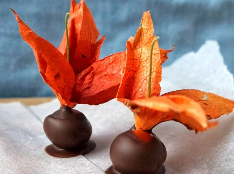 Sweets autumn decorating ideas for candies and physalis