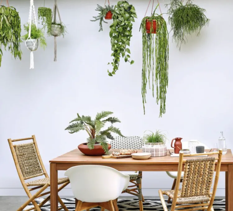 dining room decoration trends green plants