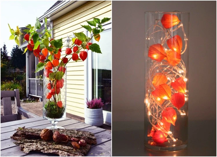 fall decoration 2022 in a jar with physalis fairy lights and moss