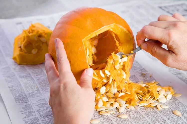 how to clean and cook pumpkin seeds, pumpkins seed
