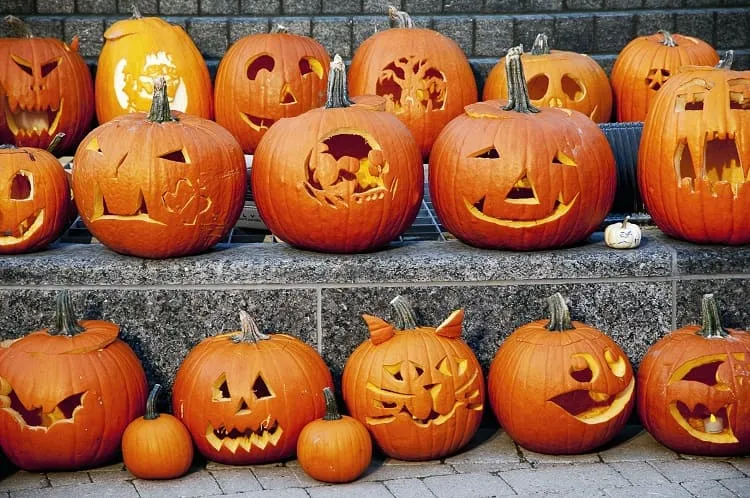 how to reuse a pumpkin after Halloween_ how to reuse a pumpkin