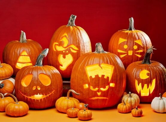 how to reuse a pumpkin after Halloween_how to recycle a pumpkin