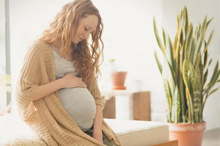 intermittent fasting reproductive hormones pregnant women