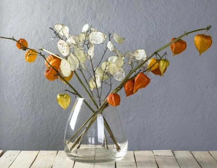 modern autumn decoration in vase 2022 physalis and lunaria