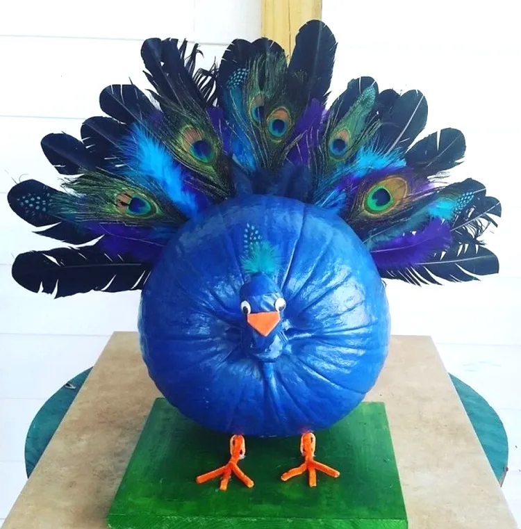 pumpkin decoration feathers peacock easy crafts no carving
