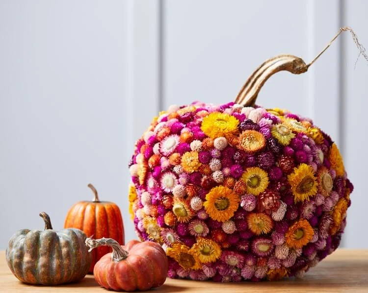pumpkin decoration without carving flowers glue beautiful Halloween decor