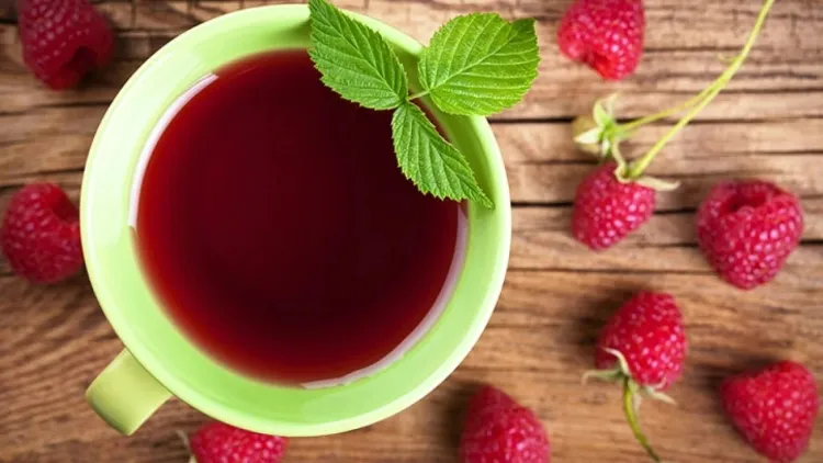 raspberry leaf tea benefits diuretic effect deflator laxative treatment