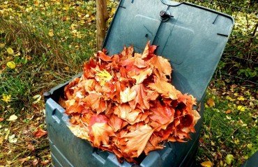 recycle-the-foliage-compost-it