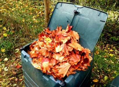 recycle-the-foliage-compost-it
