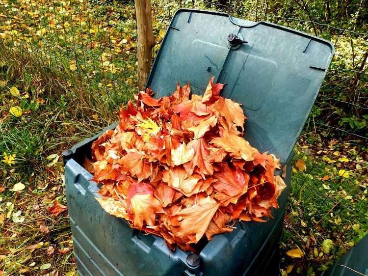 recycle the foliage compost it