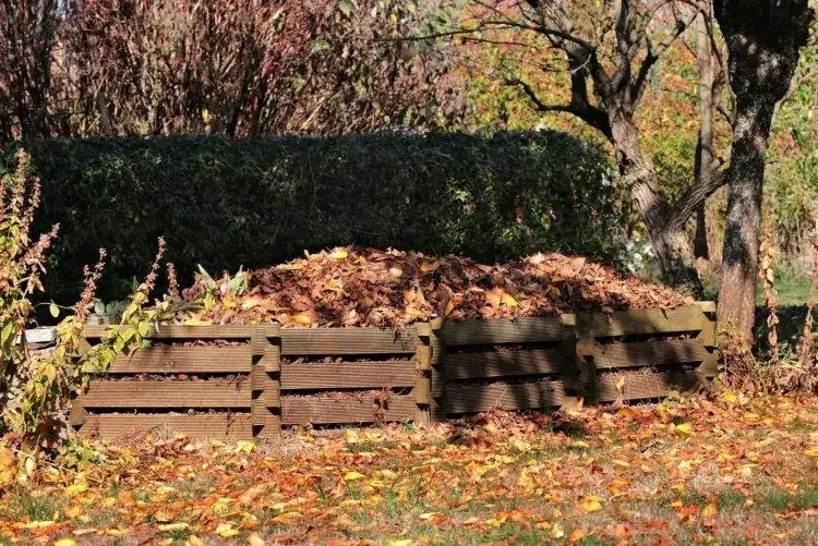 store dead leaves compost to make pellets