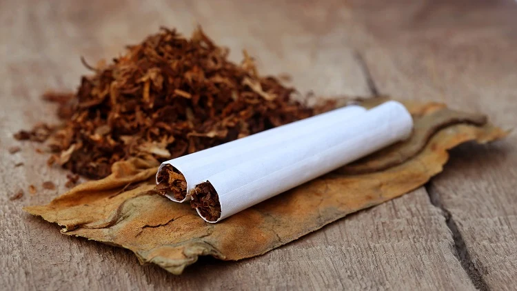 Mezcla de tabaco solución de nicotina para chinches cómo deshacerse de las chinches