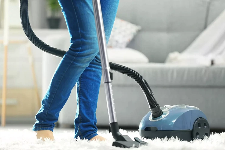 vacuum cleaner getting rid of stink bugs home remedy