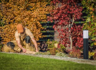 what to plant in october,can i plant anything in october