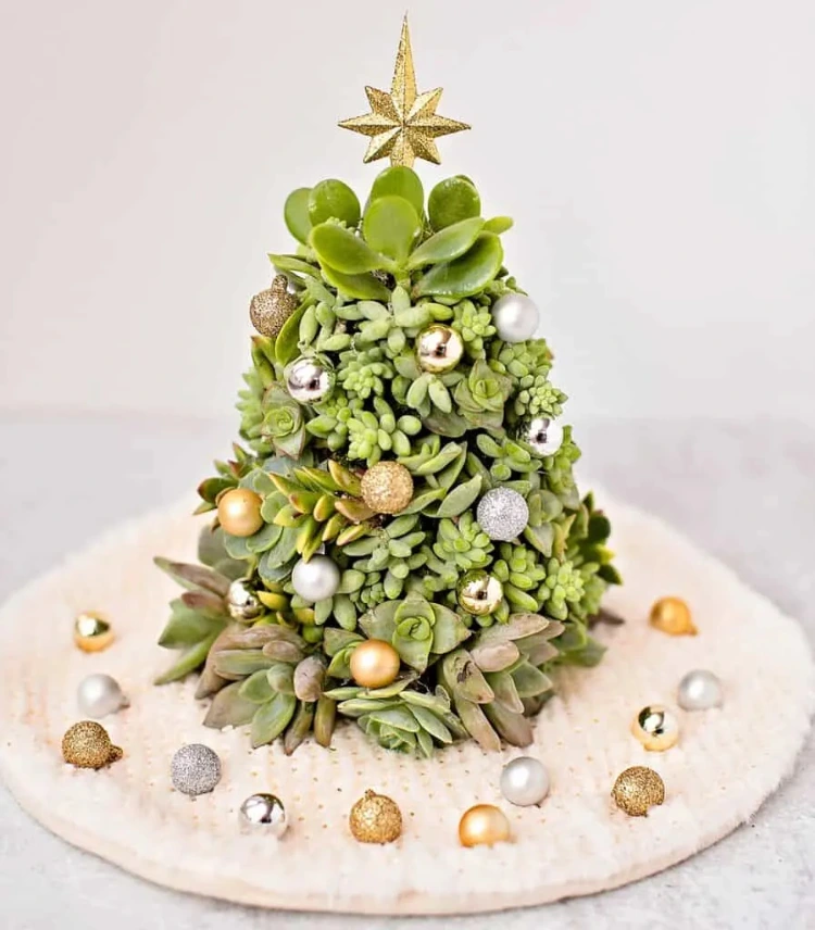 Alternative Christmas tree made of succulents