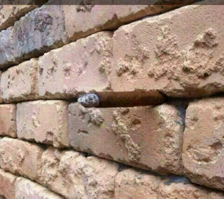 Arron Bevin hidden object in a brick wall cigar or stone mystery