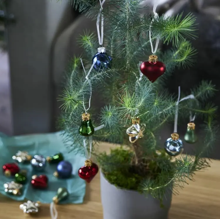 Christmas decorations Ikea living room real coniferous trees in a pot
