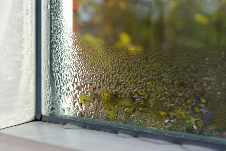 Condensation collects on the inside of the window what helps