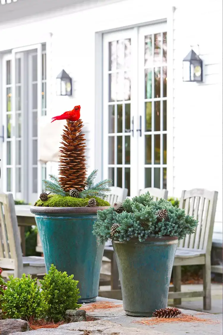 DIY Christmas decoration in flower pot for the patio