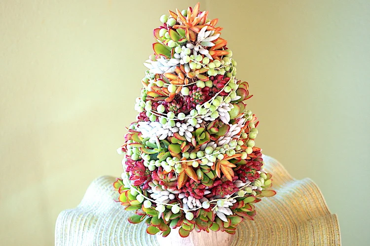 DIY Christmas tree ideas succulents instructions and ideas
