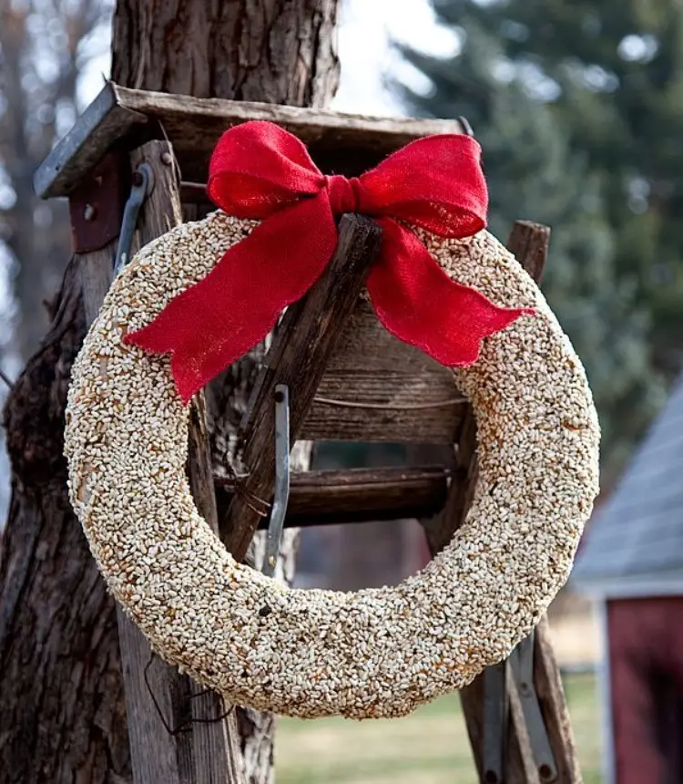 DIY Christmas wreath from birdseed