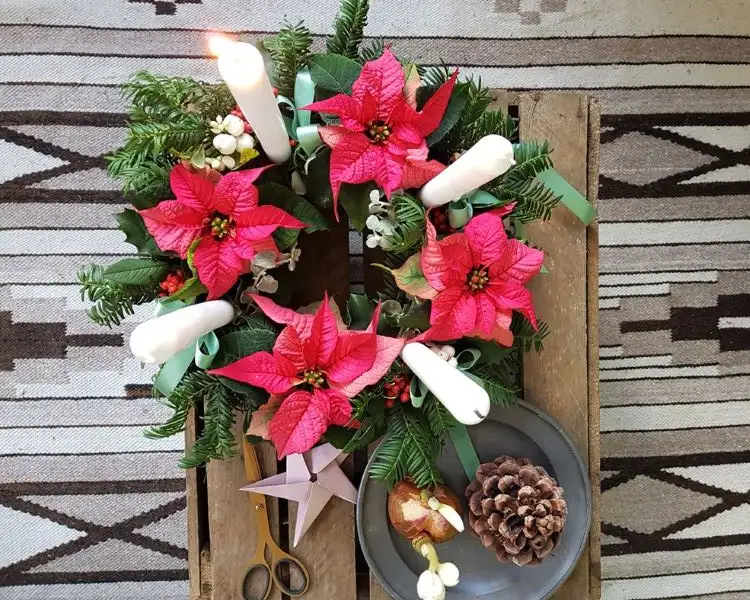 DIY advent wreath classic with poinsettia