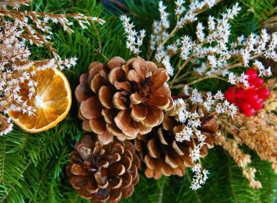 DIY-winter-decorations-from-natural-materials