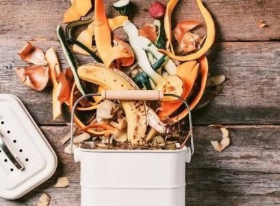 How-to-compost-in-an-apartment