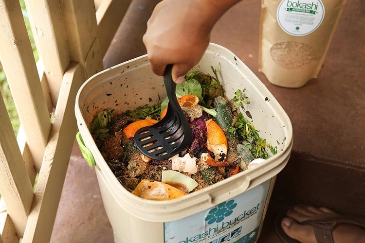 How to compost in an apartment without odors