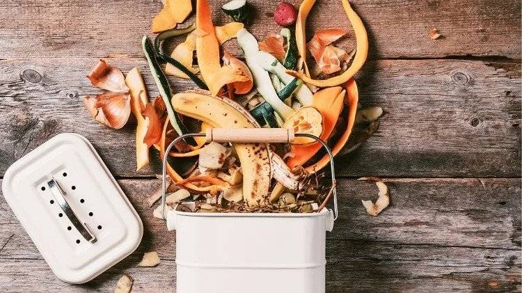 How-to-compost-in-an-apartment