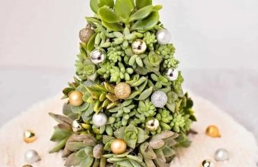 How-to-make-a-succulent-Christmas-tree