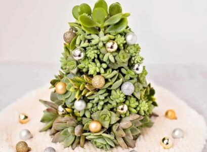 How-to-make-a-succulent-Christmas-tree