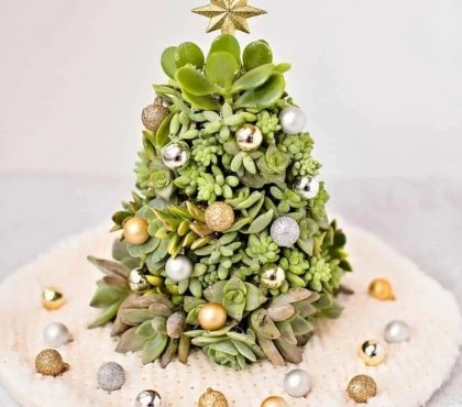 How-to-make-a-succulent-Christmas-tree