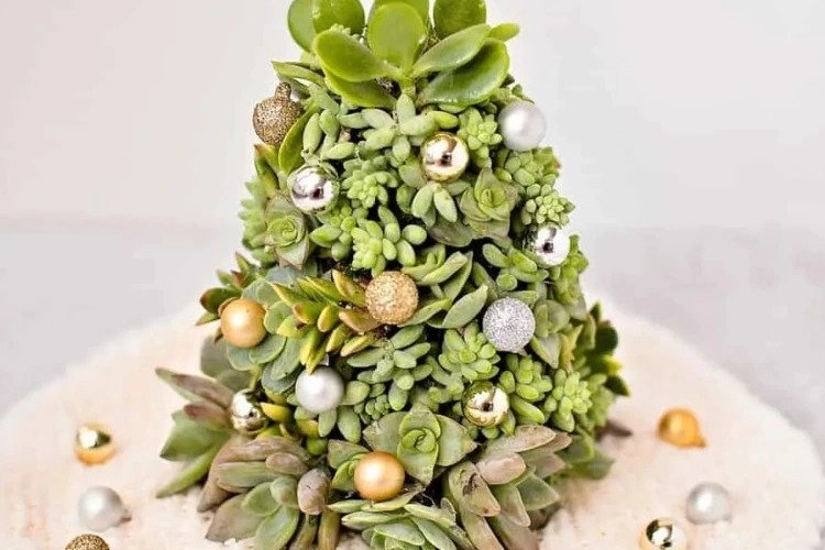 How-to-make-a-succulent-Christmas-tree