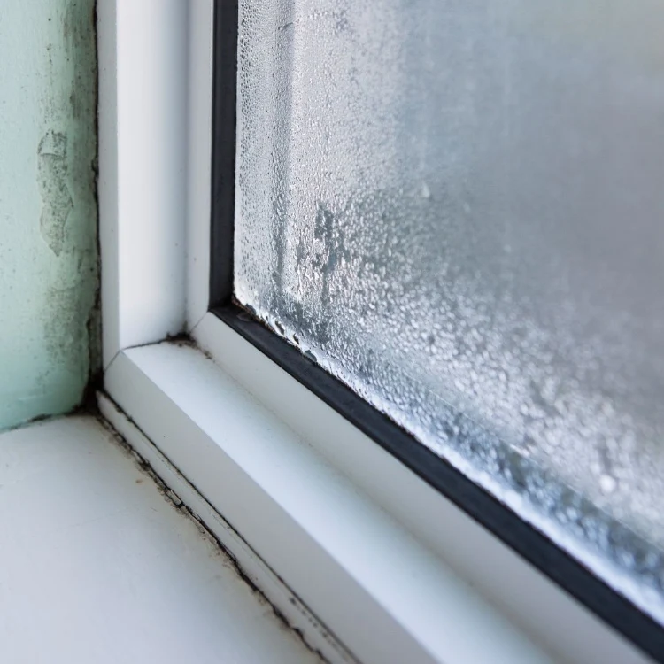 Tips to avoid condensation on the inside of the window