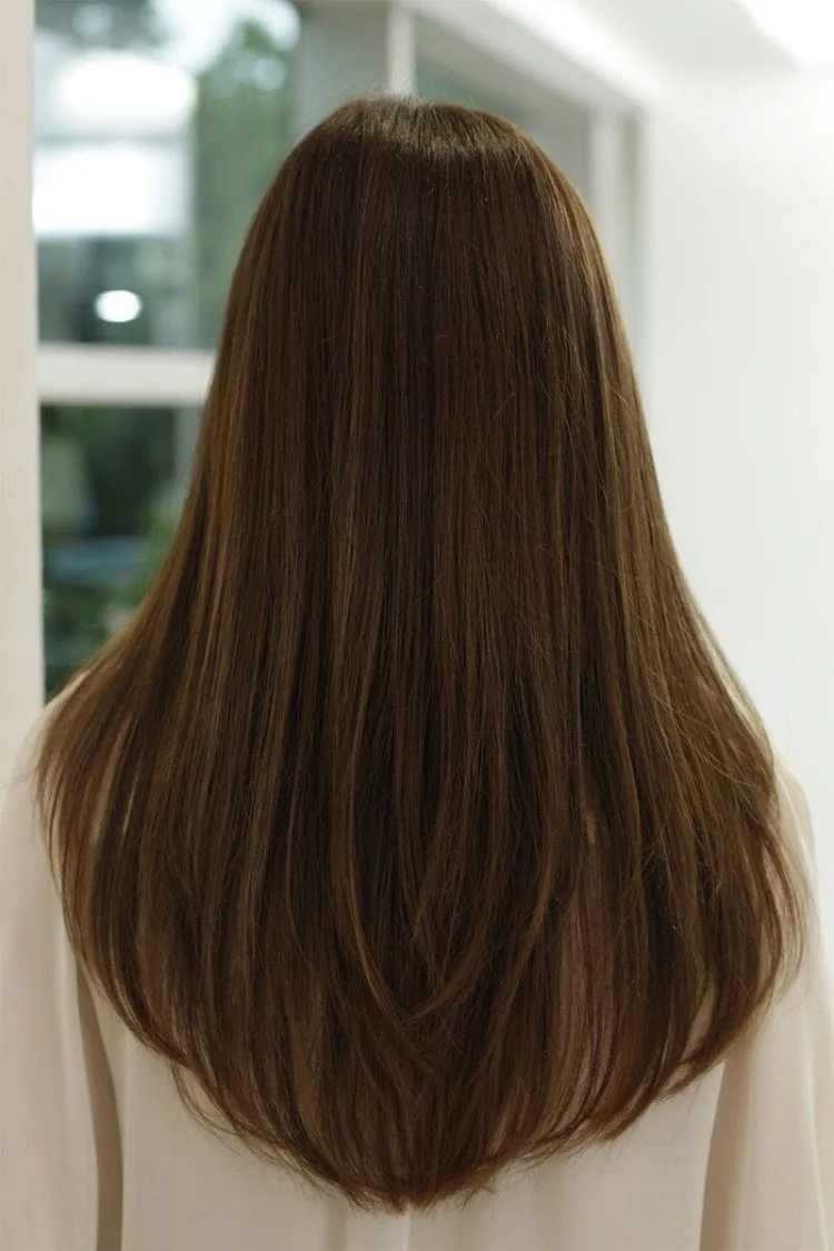 U-shape-haircut-for-thin-hair-layered-straight-dark-brown